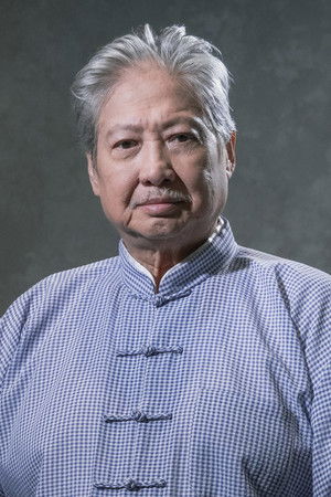 洪天照